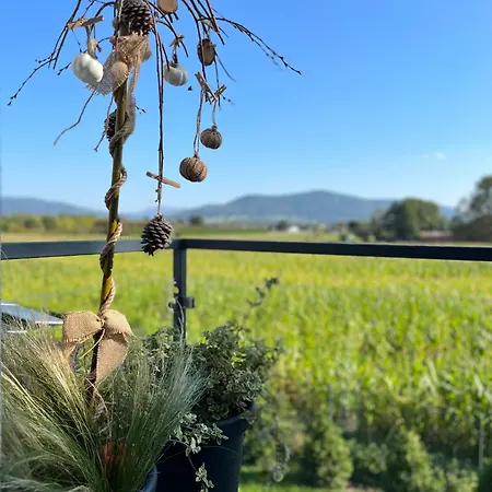 Silesia B129 アパート