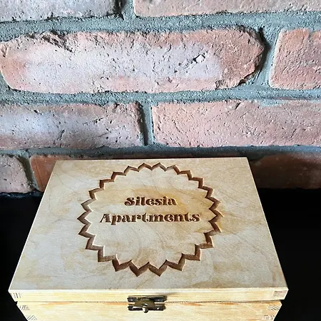 شقة Silesia Apartments Ustron B129 أوسترون